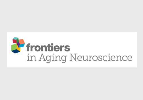 Effects of white matter hyperintensities on verbal fluency in healthy older adults and MCI/AD